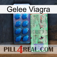 Jelly Viagra new02